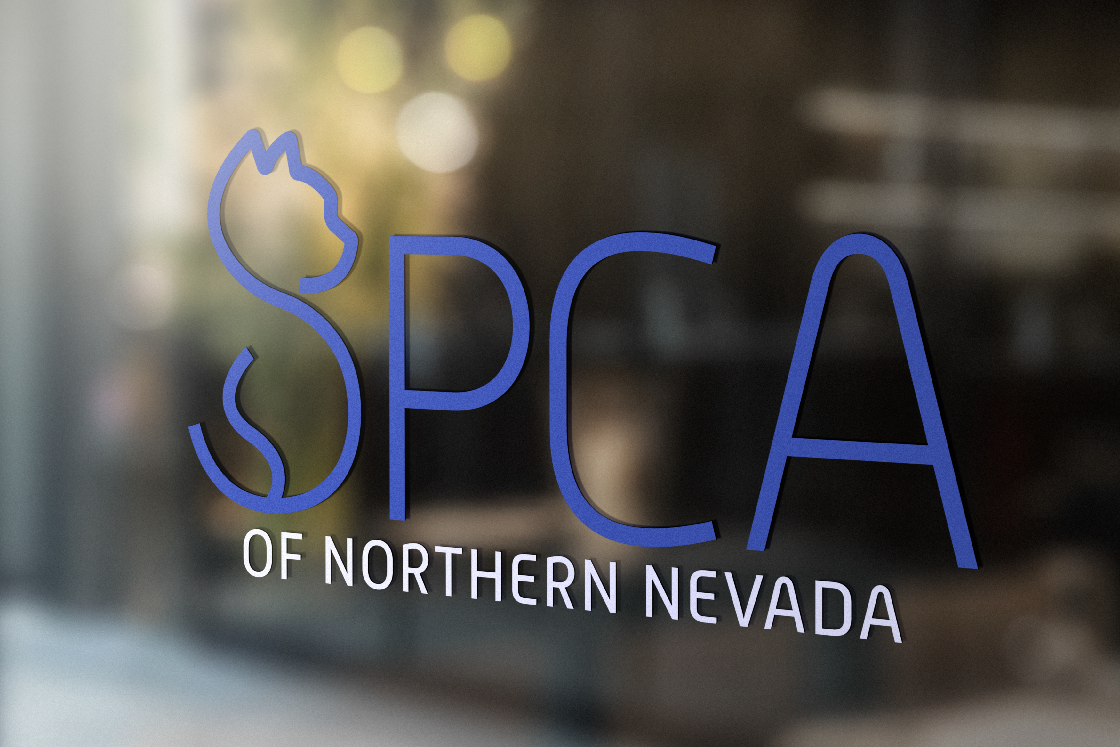 SPCA Window